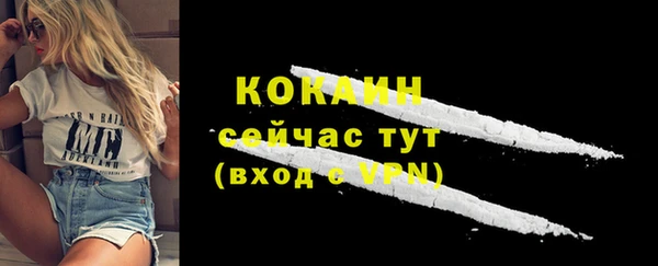 крисы Гатчина