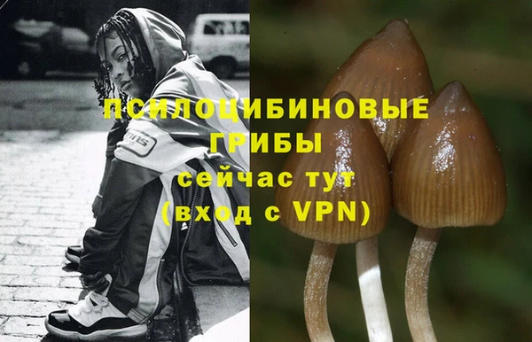 бошки Зеленокумск